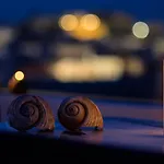 Appartamento Golden Rose Elegant Vacation *